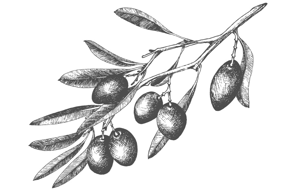 Disegno Olio di oliva bianco e nero