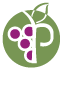 Pauline s.r.l. Logo